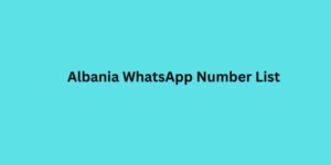 Albania WhatsApp Number List