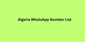 Algeria WhatsApp Number List