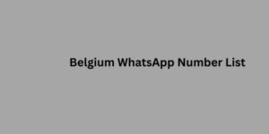 Belgium WhatsApp Number List