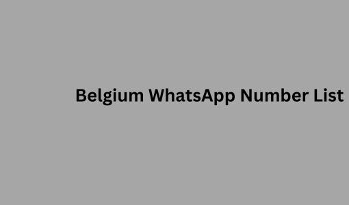 Belgium WhatsApp Number List