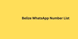 Belize WhatsApp Number List