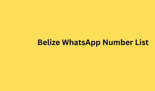 Belize WhatsApp Number List