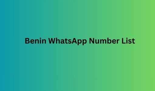 Benin WhatsApp Number List