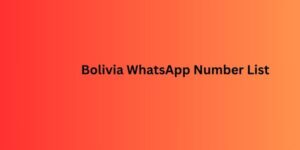 Bolivia WhatsApp Number List