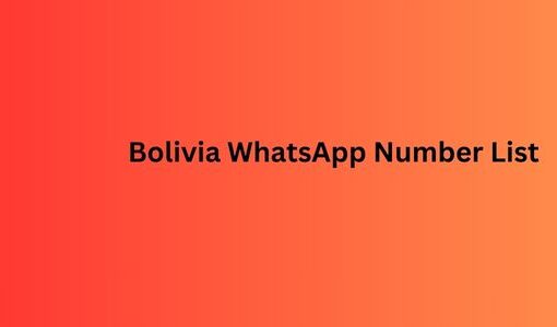 Bolivia WhatsApp Number List