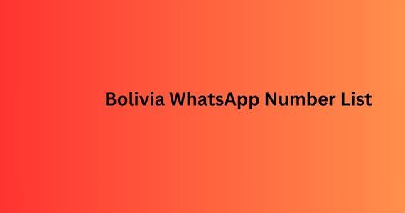 Bolivia WhatsApp Number List