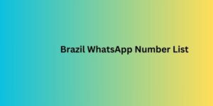 Brazil WhatsApp Number List