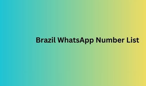 Brazil WhatsApp Number List