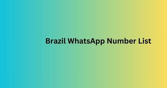 Brazil WhatsApp Number List