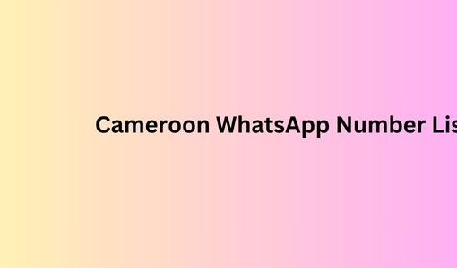 Cameroon WhatsApp Number List