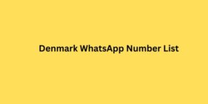 Denmark WhatsApp Number List