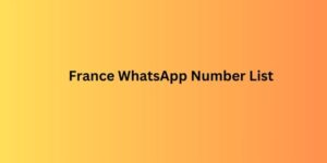 France WhatsApp Number List