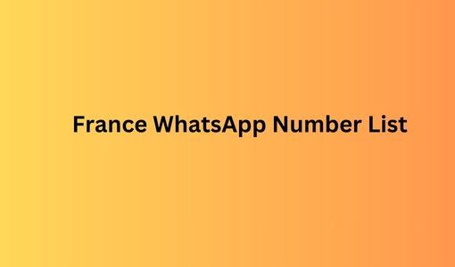 France WhatsApp Number List