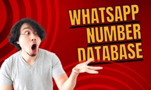 WhatsApp Number Database