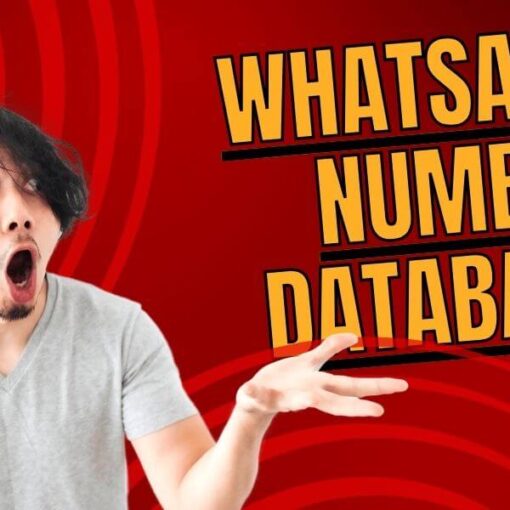 WhatsApp Number Database