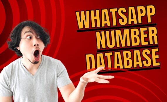 WhatsApp Number Database