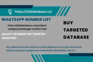 WhatsApp Number List